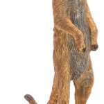 Suricate - Papo