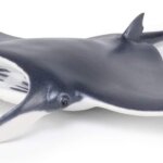 Manta - Papo