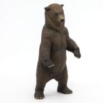 Orso Gizzly - Papo