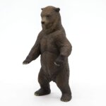 Orso Gizzly - Papo
