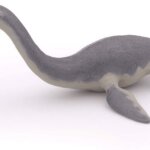Plesiosaurus - Papo