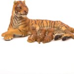 Tigre che Allatta -Papo