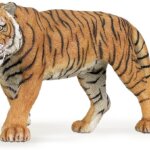 Tigre - Papo