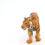 Tigre - Papo