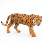 Tigre - Papo