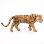 Tigre - Papo