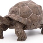 Tartaruga Galapagos - Papo