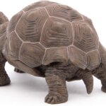 Tartaruga Galapagos - Papo