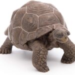 Tartaruga Galapagos - Papo