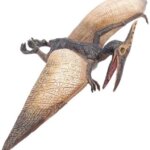 Pteranodonte - Papo