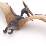 Pteranodonte - Papo