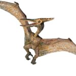 Pteranodonte - Papo