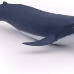 Balenottera Azzurra- Papo
