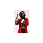 Pistola Pirata - Widmann