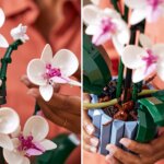 10311 Orchidea - Lego