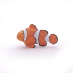 Pesce Pagliaccio - Papo