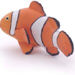 Pesce Pagliaccio - Papo