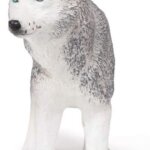 Husky Siberiano - Papo