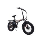 Fat Bike 20" Pieghevole 250W 48V 10A - Dardo