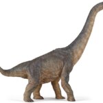 Brachiosauro - Papo