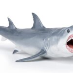 Megalodonte - Papo