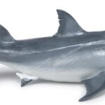 Megalodonte - Papo