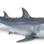 Megalodonte - Papo