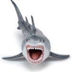 Megalodonte - Papo