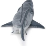 Megalodonte - Papo