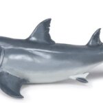 Megalodonte - Papo