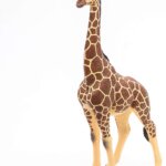 Giraffa Maschio - Papo