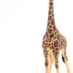 Giraffa Maschio - Papo