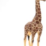 Giraffa Maschio - Papo