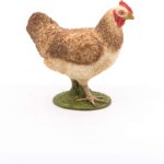 Gallina Rossa - Papo