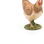 Gallina Rossa - Papo