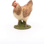 Gallina Rossa - Papo