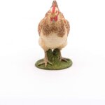 Gallina Rossa - Papo