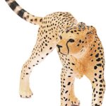 Femmina di Ghepardo- Schleich