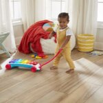 Xilofono Gigante - Fisher Price