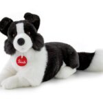 Border Collie Scott "M" - Trudi