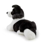 Border Collie Scott "M" - Trudi