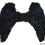 Ali in Piume Nere 70 cm - Funny Fashion