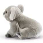 Koala Jamin "M" - Trudi