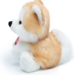 Fluffy Akita - Trudi