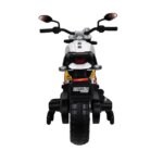 Ducati Scrambler Desert Sled - Colibrì
