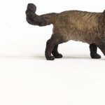 Ragdoll cat - Schleich