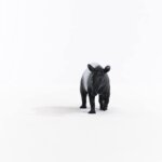 Tapiro - Schleich