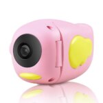Videocamera - Macchina Fotografica - ITN La Giraffa