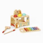 Banchetto Xilofono Batti Palline - Tooky Toy