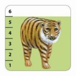 Batanimo - Djeco